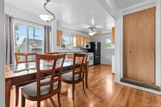 33989 Richard St, Canton, MI 48184 - dining space featuring healthy amount of natural light, a ceiling fan, and light wood finished floors