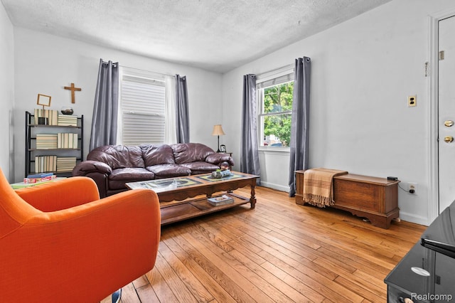 33989 Richard St, Canton, MI 48184 - living room with a textured ceiling and light wood-type flooring