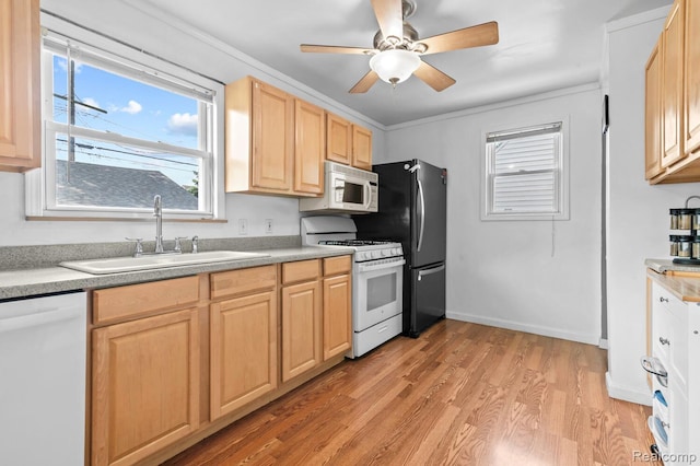 33989 Richard St, Canton, MI 48184 - kitchen with white appliances, light brown cabinetry, light wood-style flooring, a ceiling fan, and crown molding
