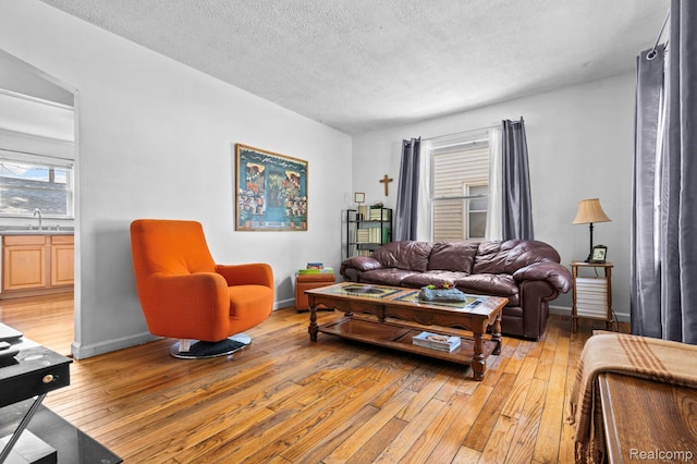 33989 Richard St, Canton, MI 48184 - living area with light wood-style flooring and a textured ceiling