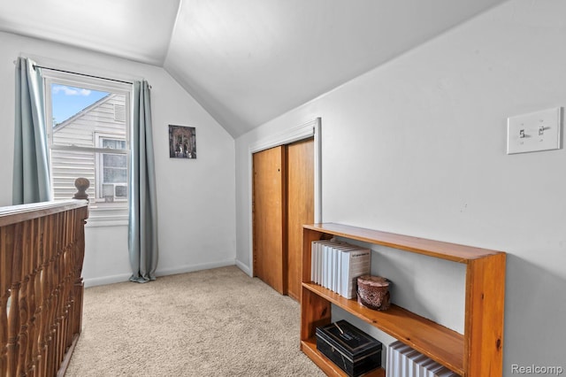 33989 Richard St, Canton, MI 48184 - additional living space with vaulted ceiling and carpet