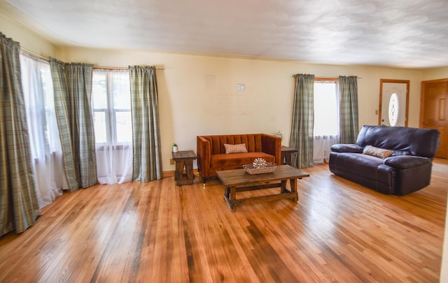 402 Division St, Union City, MI 49094 - living area featuring wood finished floors and plenty of natural light