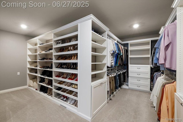 3610 Piccadilly Dr, Rochester Hills, MI 48309 - walk in closet with light colored carpet