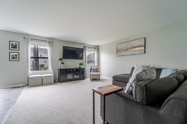 32822 Ravine St, New Haven, MI 48048 - living area featuring baseboards and wood finished floors