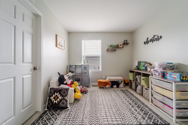 32822 Ravine St, New Haven, MI 48048 - game room with carpet floors