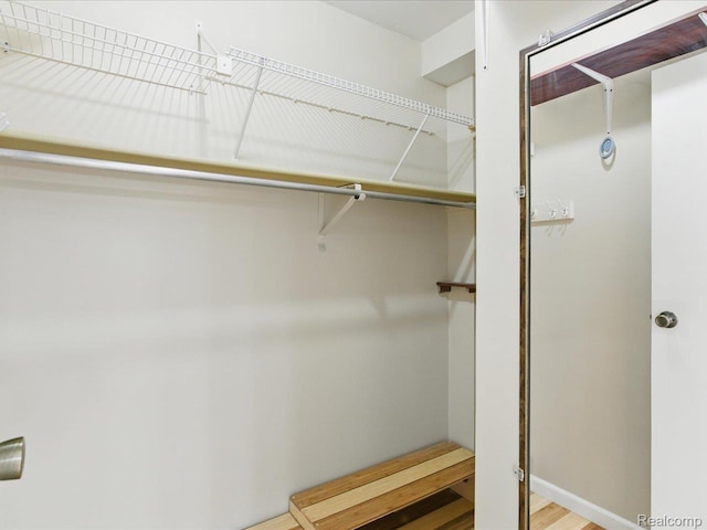 810 Holland Ave Unit 5, Port Huron, MI 48060 - view of walk in closet