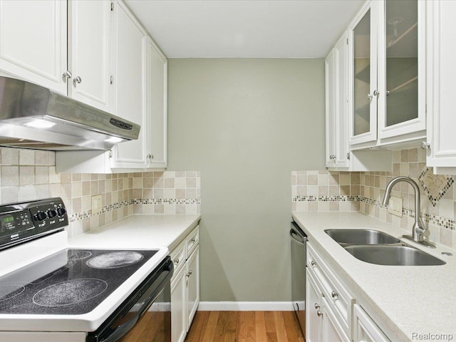 810 Holland Ave Unit 5, Port Huron, MI 48060 - kitchen with electric range oven, under cabinet range hood, white cabinetry, stainless steel dishwasher, and light countertops