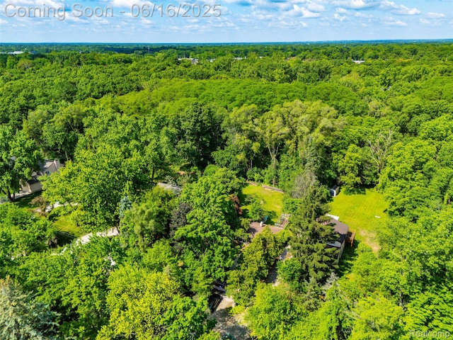 23385 Hunters Ln, Southfield, MI 48033 - aerial view of a forest
