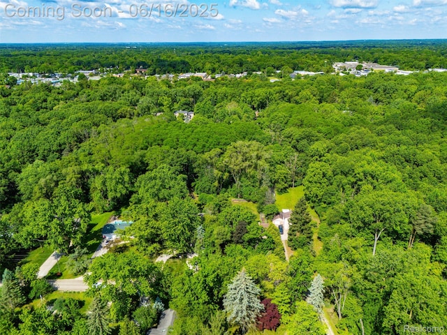 23385 Hunters Ln, Southfield, MI 48033 - aerial view of a forest