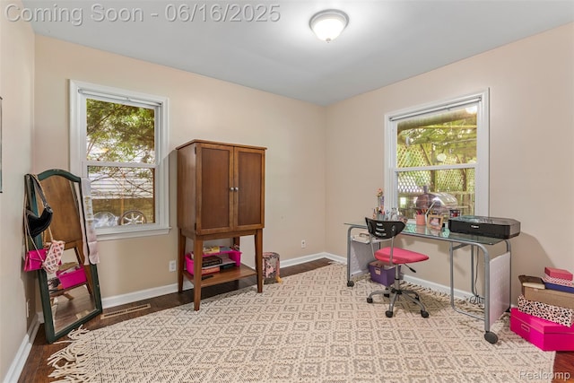 23385 Hunters Ln, Southfield, MI 48033 - office area featuring light wood-style flooring and plenty of natural light