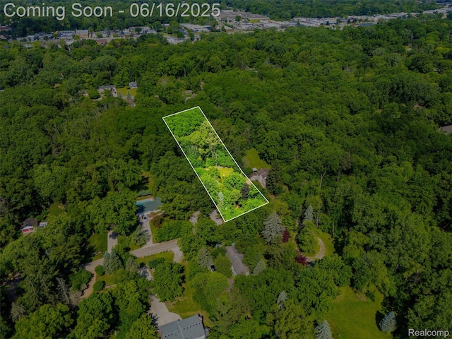 23385 Hunters Ln, Southfield, MI 48033 - aerial overview of property's location with a forest and property parcel outlined