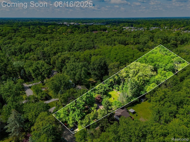 23385 Hunters Ln, Southfield, MI 48033 - aerial view of property's location with a heavily wooded area and property parcel outlined