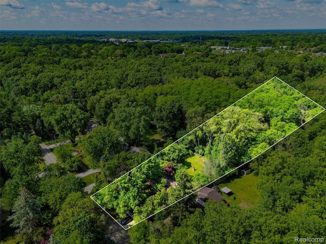 23385 Hunters Ln, Southfield, MI 48033 - aerial overview of property's location with a forest and property parcel outlined