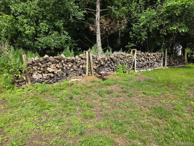 23385 Hunters Ln, Southfield, MI 48033 - view of yard