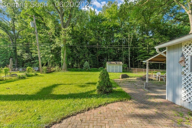 24121 Kraft Pl, Brownstown, MI 48174 - view of yard with a shed and a patio area