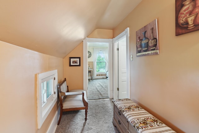 1704 Pringle Ave, Jackson, MI 49203 - hall featuring carpet and vaulted ceiling
