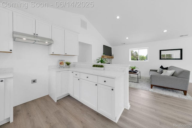 2694 Vendome Ave, Rochester Hills, MI 48309 - kitchen with under cabinet range hood, a peninsula, light wood-type flooring, white cabinetry, and open floor plan