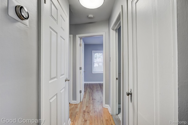 263 E Woodland St, Ferndale, MI 48220 - hallway with light wood-style floors and baseboards