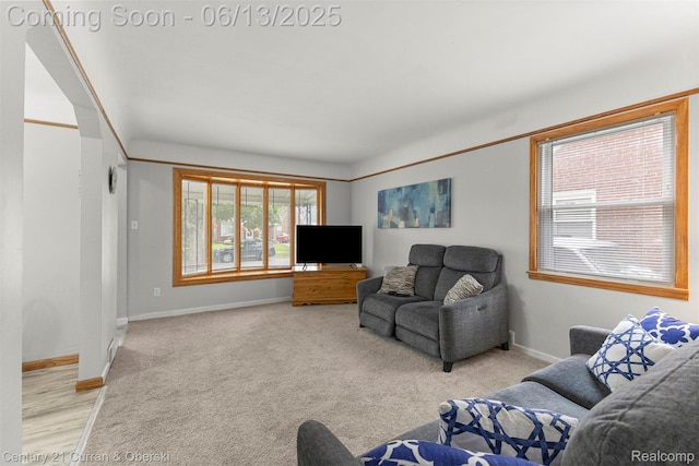 8904 Becker Ave, Allen Park, MI 48101 - living room featuring baseboards and light colored carpet