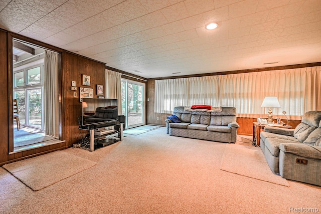 23880 Glencreek Dr, Farmington Hills, MI 48336 - living room with carpet, plenty of natural light, and wood walls