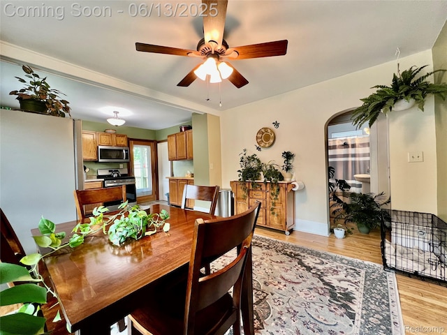 1323 16th St, Port Huron, MI 48060 - dining area featuring light wood finished floors, arched walkways, ceiling fan, and baseboards