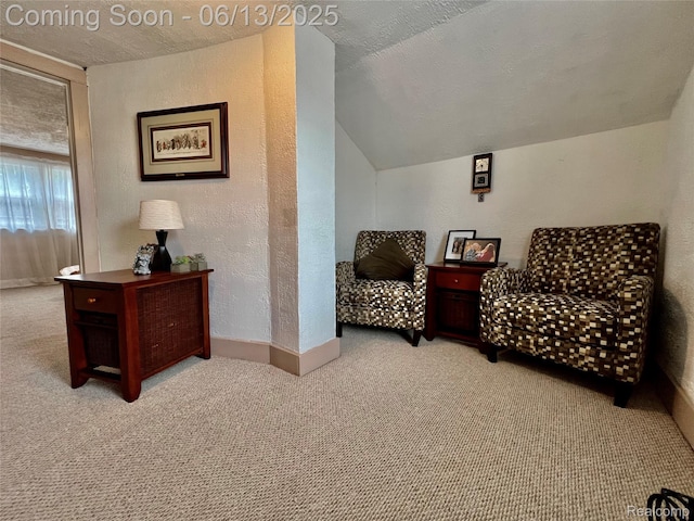 1323 16th St, Port Huron, MI 48060 - living area featuring carpet flooring, baseboards, a textured wall, and lofted ceiling