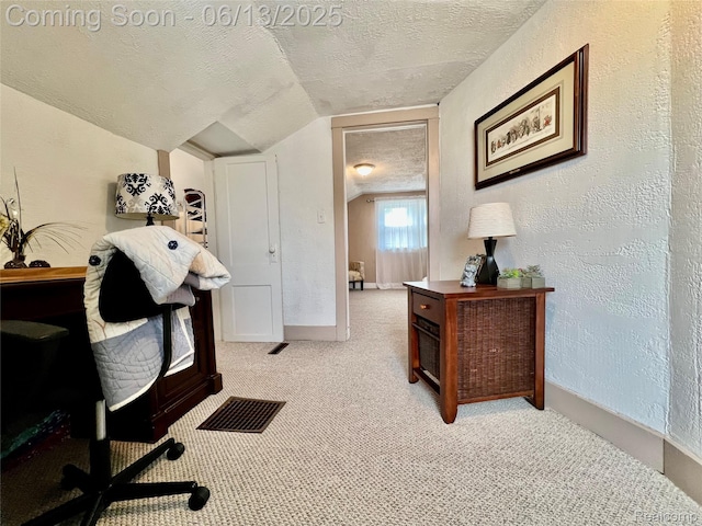 1323 16th St, Port Huron, MI 48060 - home office featuring a textured ceiling, vaulted ceiling, light carpet, and a textured wall