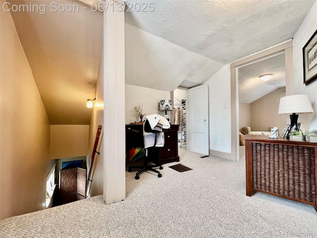 1323 16th St, Port Huron, MI 48060 - carpeted office with vaulted ceiling and a textured ceiling
