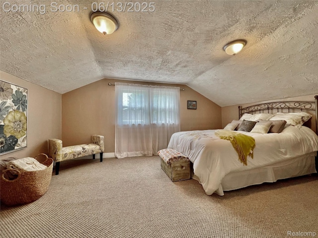 1323 16th St, Port Huron, MI 48060 - carpeted bedroom featuring a textured ceiling, vaulted ceiling, and baseboards
