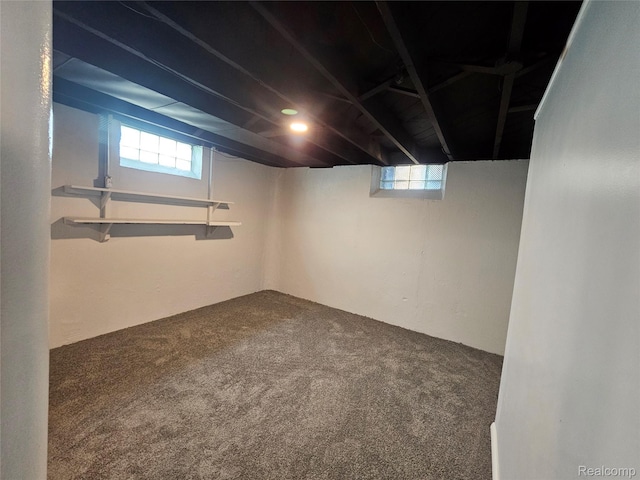 9311 Dixie, Redford, MI 48239 - below grade area featuring carpet