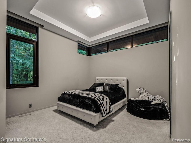 6956 Cooley Lake Rd, White Lake, MI 48383 - bedroom with carpet floors, a raised ceiling, and baseboards