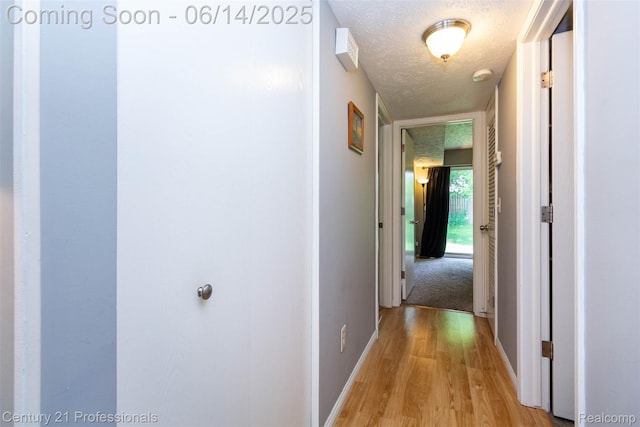 2024 Hamilton Rd Unit 6, Okemos, MI 48864 - hallway featuring a textured ceiling, baseboards, and light wood-style floors