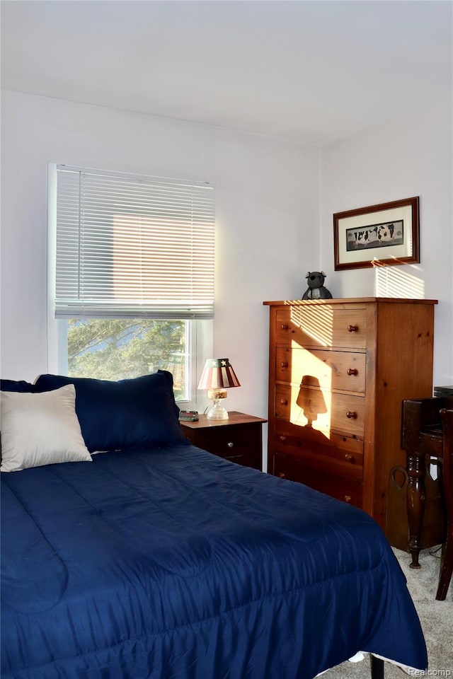 9418 Parkwood Dr N, Davison, MI 48423 - view of carpeted bedroom