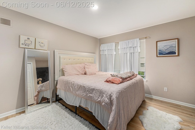 53242 Butternut St, Chesterfield, MI 48051 - bedroom with baseboards and wood finished floors