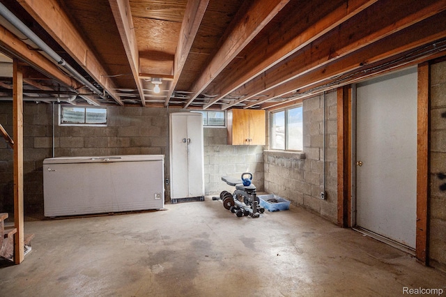 2651 Norvell Rd, Grass Lake, MI 49240 - below grade area featuring fridge