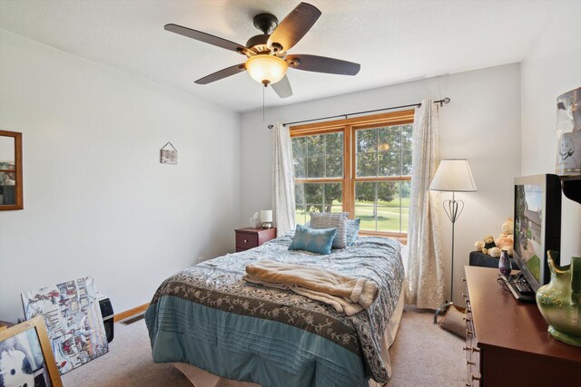 1741 N Bunn Rd, Hillsdale, MI 49242 - photo 31