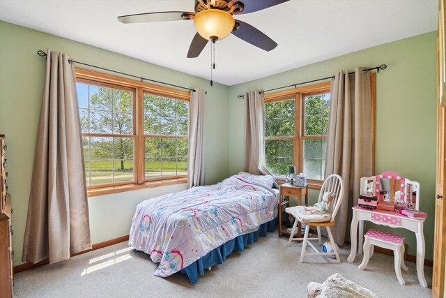 1741 N Bunn Rd, Hillsdale, MI 49242 - photo 33