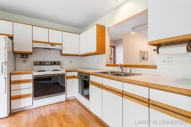 569 Appletree Dr, Holland, MI 49423 - kitchen featuring electric range, a sink, under cabinet range hood, freestanding refrigerator, and light countertops