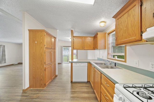 948 Savannah River Dr, Adrian, MI 49221 - kitchen featuring white dishwasher, a sink, a textured ceiling, wood finished floors, and light countertops