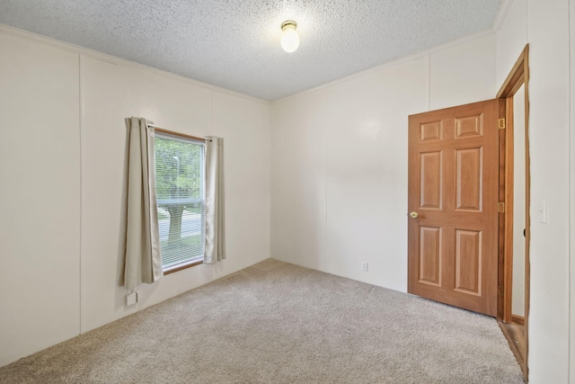948 Savannah River Dr, Adrian, MI 49221 - carpeted spare room with a textured ceiling, ornamental molding, and a decorative wall