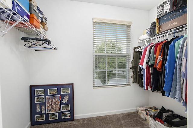 9403 Nature View Ln, Ypsilanti, MI 48197 - spacious closet with carpet flooring