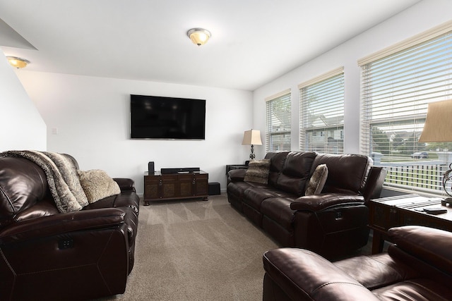 9403 Nature View Ln, Ypsilanti, MI 48197 - living room with light colored carpet