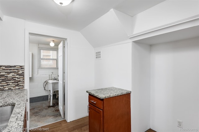 22005 Rausch Ave, Eastpointe, MI 48021 - spacious closet featuring a sink, dark wood-style floors, and vaulted ceiling