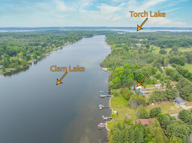 8181 Clam Lake Rd, Bellaire, MI 49615