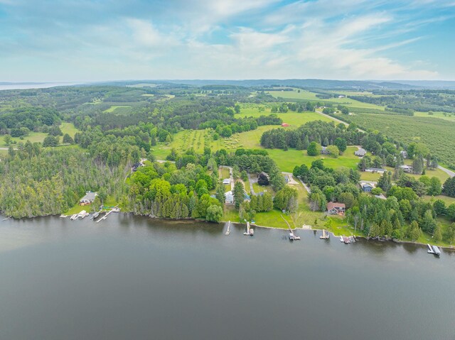 8181 Clam Lake Rd, Bellaire, MI 49615