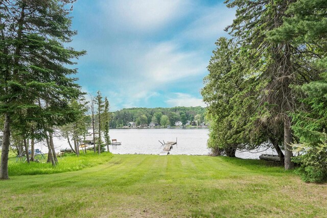 8181 Clam Lake Rd, Bellaire, MI 49615