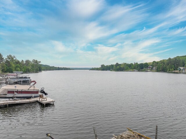 8181 Clam Lake Rd, Bellaire, MI 49615
