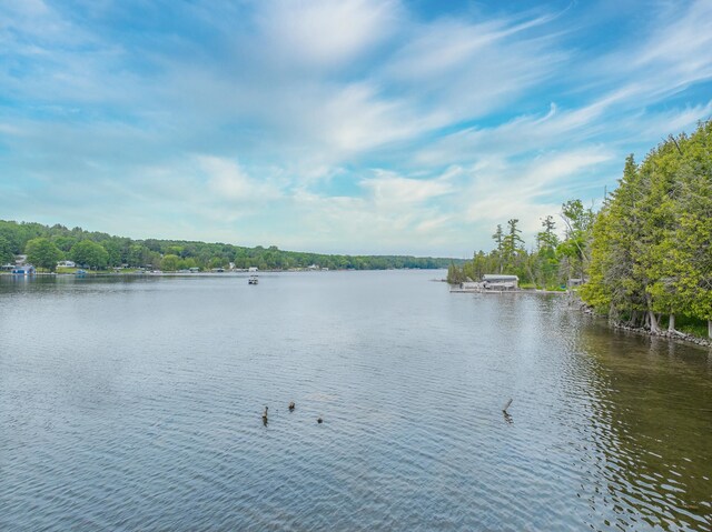 8181 Clam Lake Rd, Bellaire, MI 49615