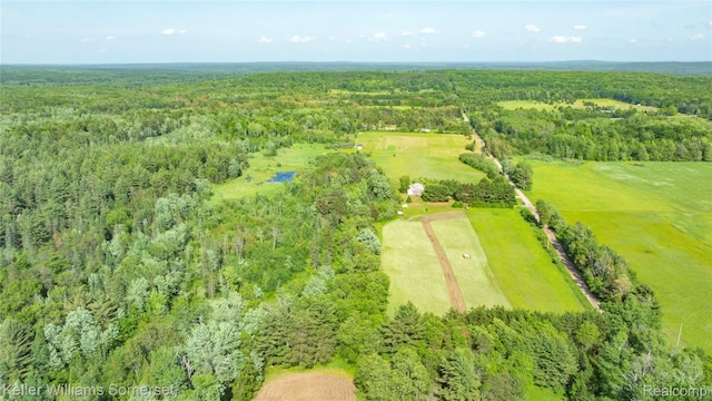 2637 E 7th Rd, Roscommon, MI 48653 - bird's eye view of a forest