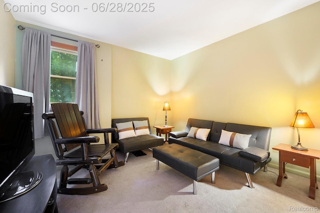 3030 Stanton Rd, Oxford, MI 48371 - carpeted living room with baseboards